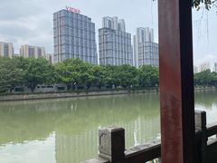 -光明港公园