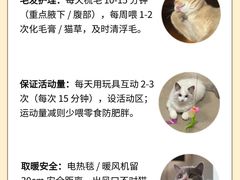 -翊宠yipet猫狗购宠庄园犬舍•猫舍