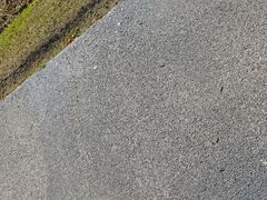 -春花秋色城市公园