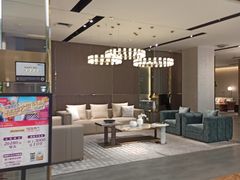 -红星美凯龙(东北全球家居1号店)