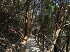 -马峦山郊野公园