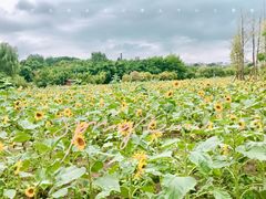 -贵阳市花溪国家城市湿地公园