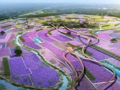 -江苏三台山国家森林公园