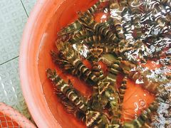 -大天然酒店(军民路店)