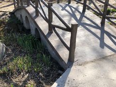 -白水寺森林公园