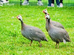 -云栖山谷露营地·团建年会·生日派对