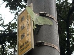 -鬼笑石后山停车场