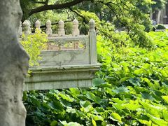 -莲池书院博物馆