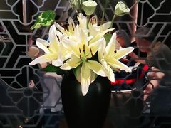 -山里亲戚(淞虹路店)