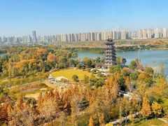 -洋湖国家湿地公园