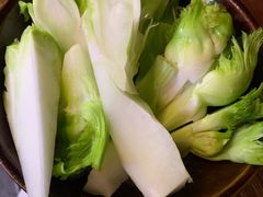 儿菜-谭记重庆老火锅(总店)