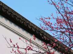 -八大山人梅湖景区