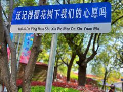 -高东镇樱花园