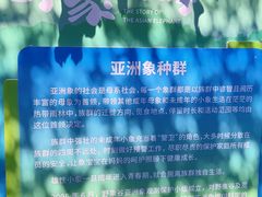 -野象谷景区