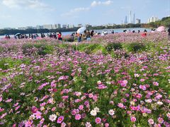 -海珠湖公园