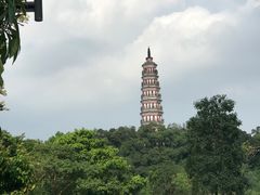 -顺峰山公园