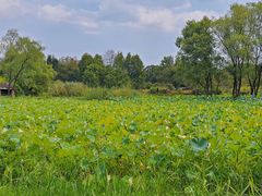 -烟水渔庄餐厅(西溪湿地店)