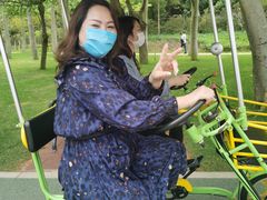 -野狸岛