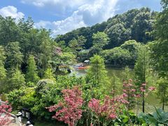 -广州市帽峰山景区