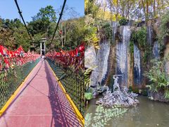 -西双版纳原始森林公园