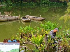 -深圳仙湖植物园