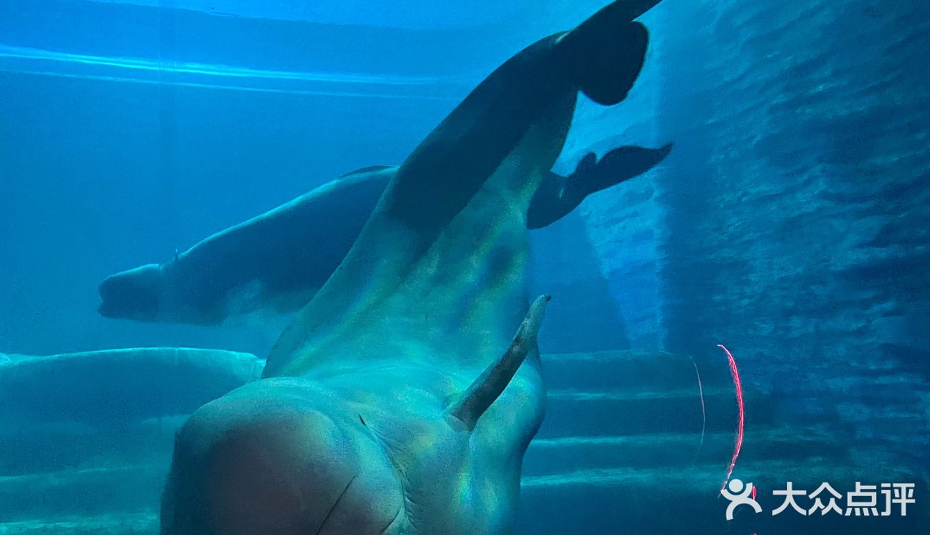 三亚沉浸式体验万圣节🎃失落的空间水族馆“深海尖叫夜