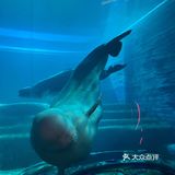 三亚沉浸式体验万圣节🎃失落的空间水族馆“深海尖叫夜