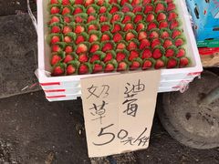 -红星农博物流中心