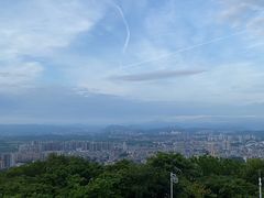 -风云岭森林公园