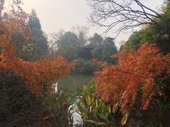-桃花岛景观公园