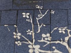 -白水寺森林公园