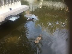 -舜耕山庄四时万和自助餐厅