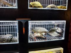 -鱼翅楼·津派砂锅鱼翅(水上公园店)