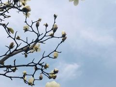-浮山香苑