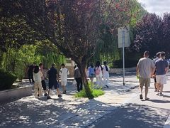-少华山国家森林公园