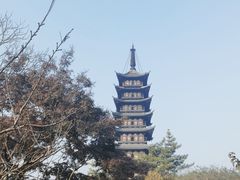 -上海方塔园