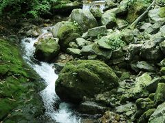 -瓦屋山景区