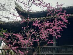 -阳明祠