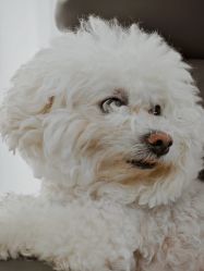 -Pink You美甲洗眉纹绣定制中心