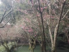 -成都杜甫草堂博物馆