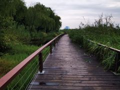 -长广溪湿地公园