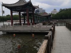 -莲花池公园