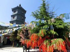 -玉华宫景区