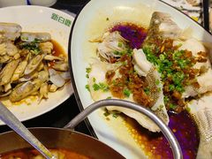 -新白鹿餐厅(百联中环店)