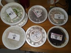 -广禾堂月子餐(国妇婴店)