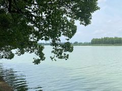 -东湖落雁景区