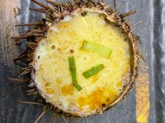 -海胆小馆(东北水饺·春柳店)