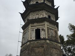 -苏州上方山国家森林公园