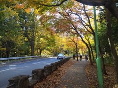 -北海道神宫