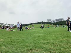 -迪茵湖田家舍生态农场